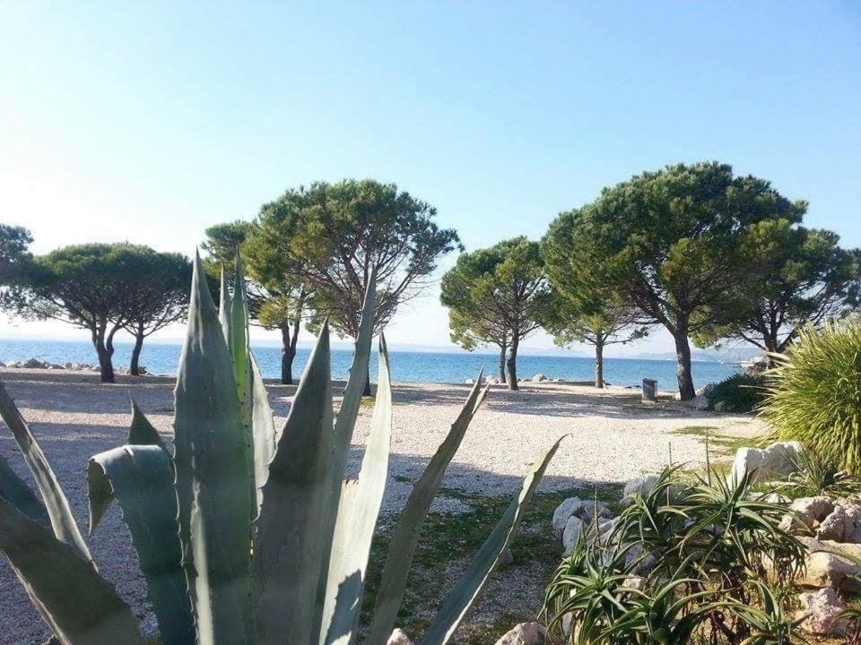 Apartment Dora Crikvenica Buitenkant foto